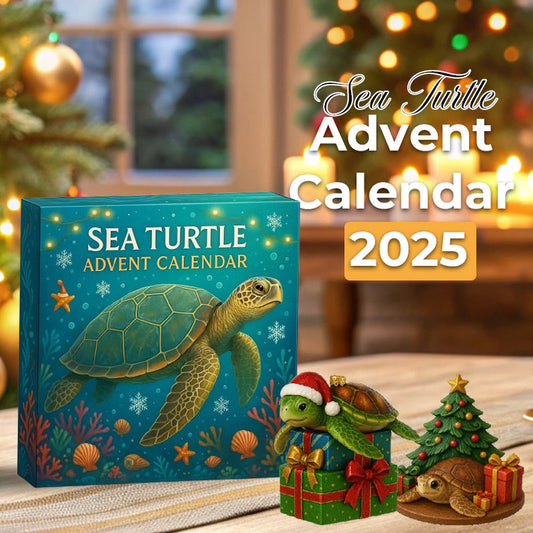 🌊🐢 Adventskalender för havssköldpaddor 2025