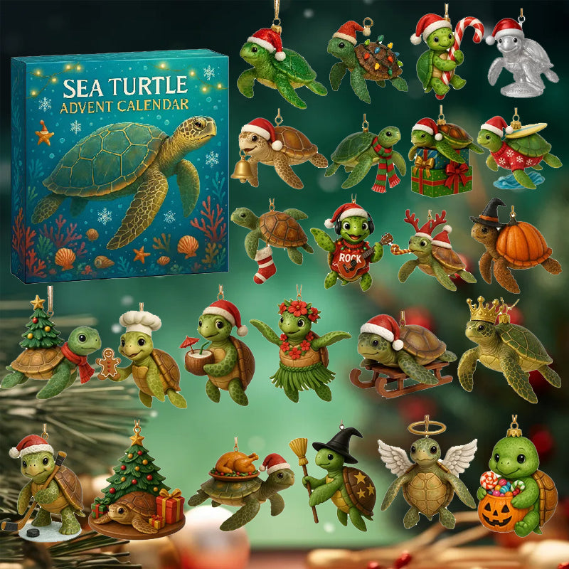 🌊🐢 Adventskalender för havssköldpaddor 2025