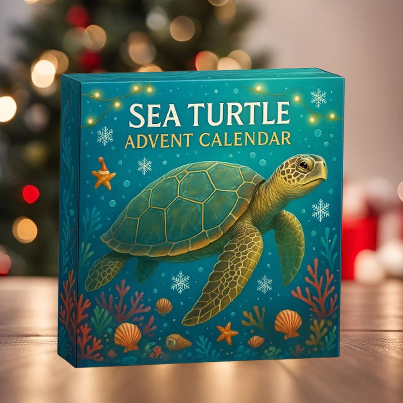🌊🐢 Adventskalender för havssköldpaddor 2025
