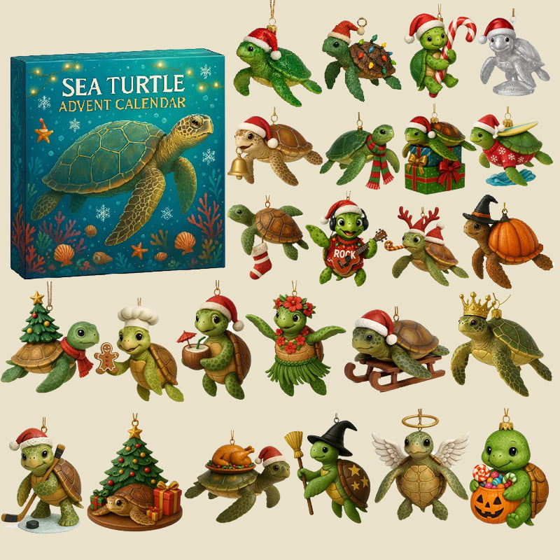🌊🐢 Adventskalender för havssköldpaddor 2025